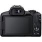 Canon EOS R50 Mirrorless Camera Body (Black)