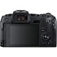 Canon EOS RP Body With RF 50mm f/1.8 STM Lens