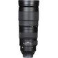 Nikon D780 Body with AF-S 200-500mm F5.6E ED VR