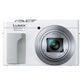 Panasonic Lumix DC-TZ99 (White)