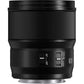 Panasonic Lumix S 100mm F/2.8 Macro Lens (Leica L)